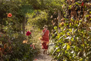 🍂 The Wairarapa Autumn Plant Fair is here! 🌿