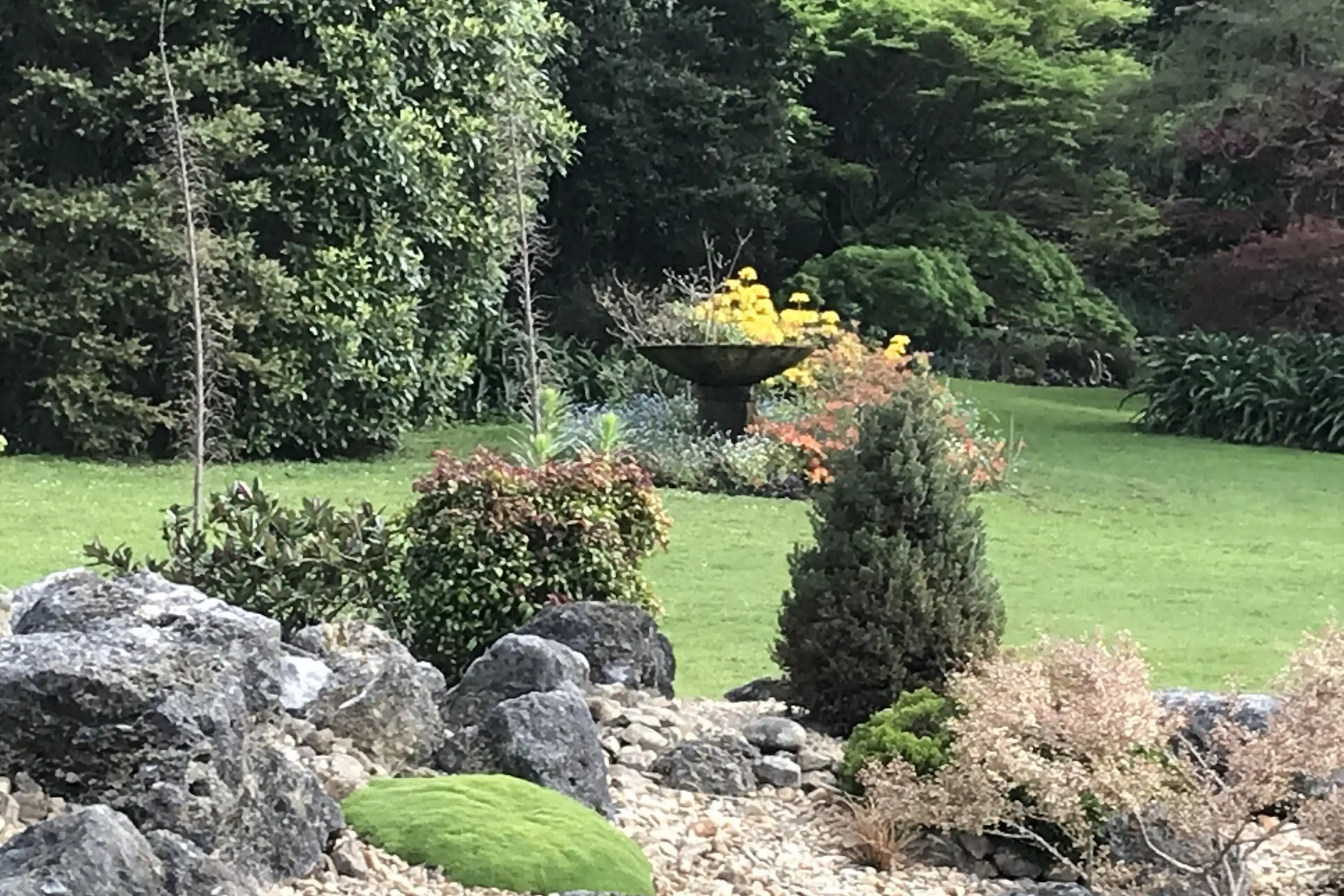 early spring garden at dead rabbits run