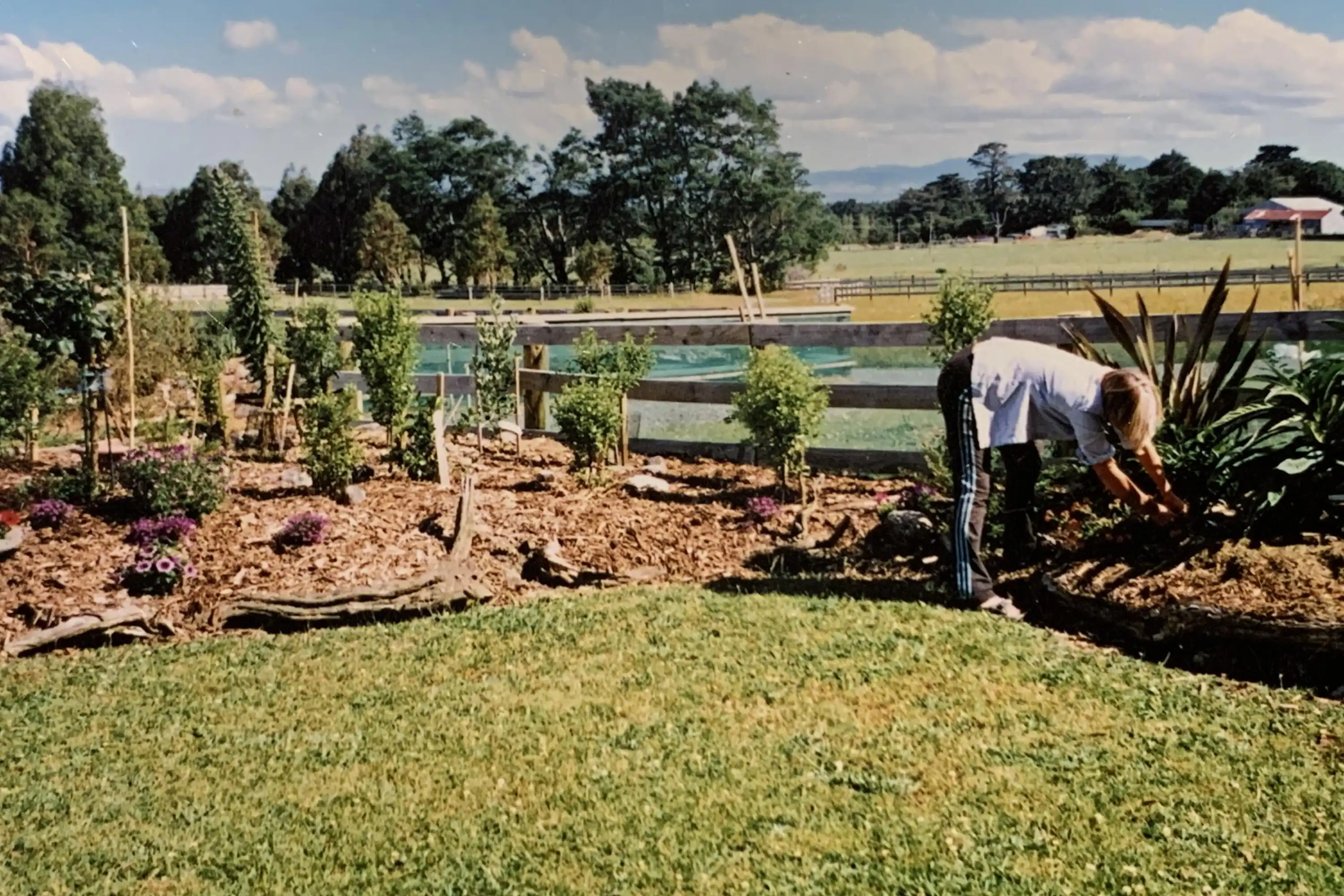 Planting the shelter belt in 2009